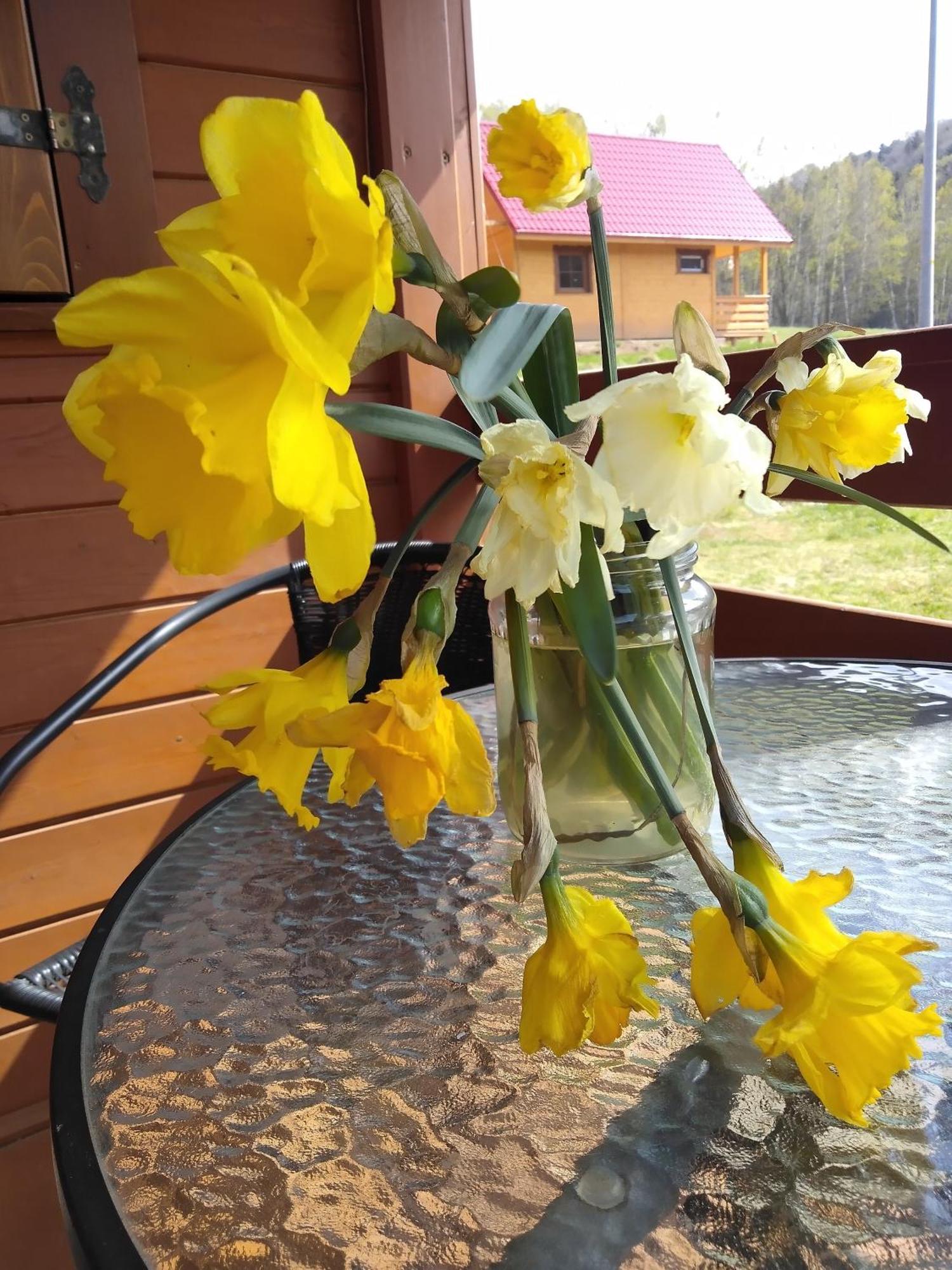 Chalet W Gorach Lewin Klodzki