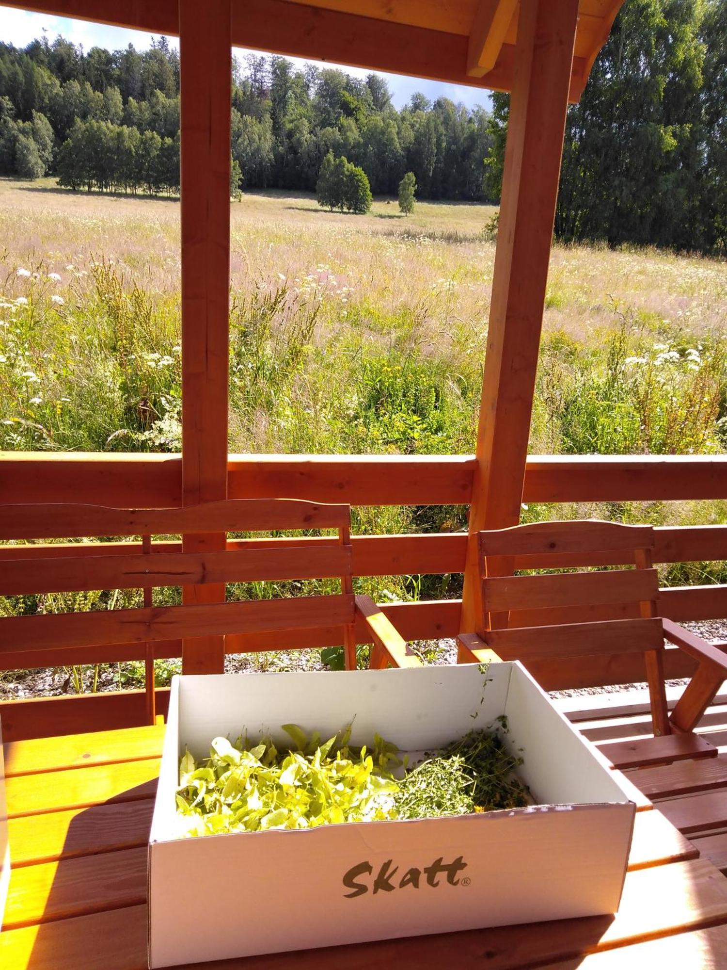 W Gorach Chalet